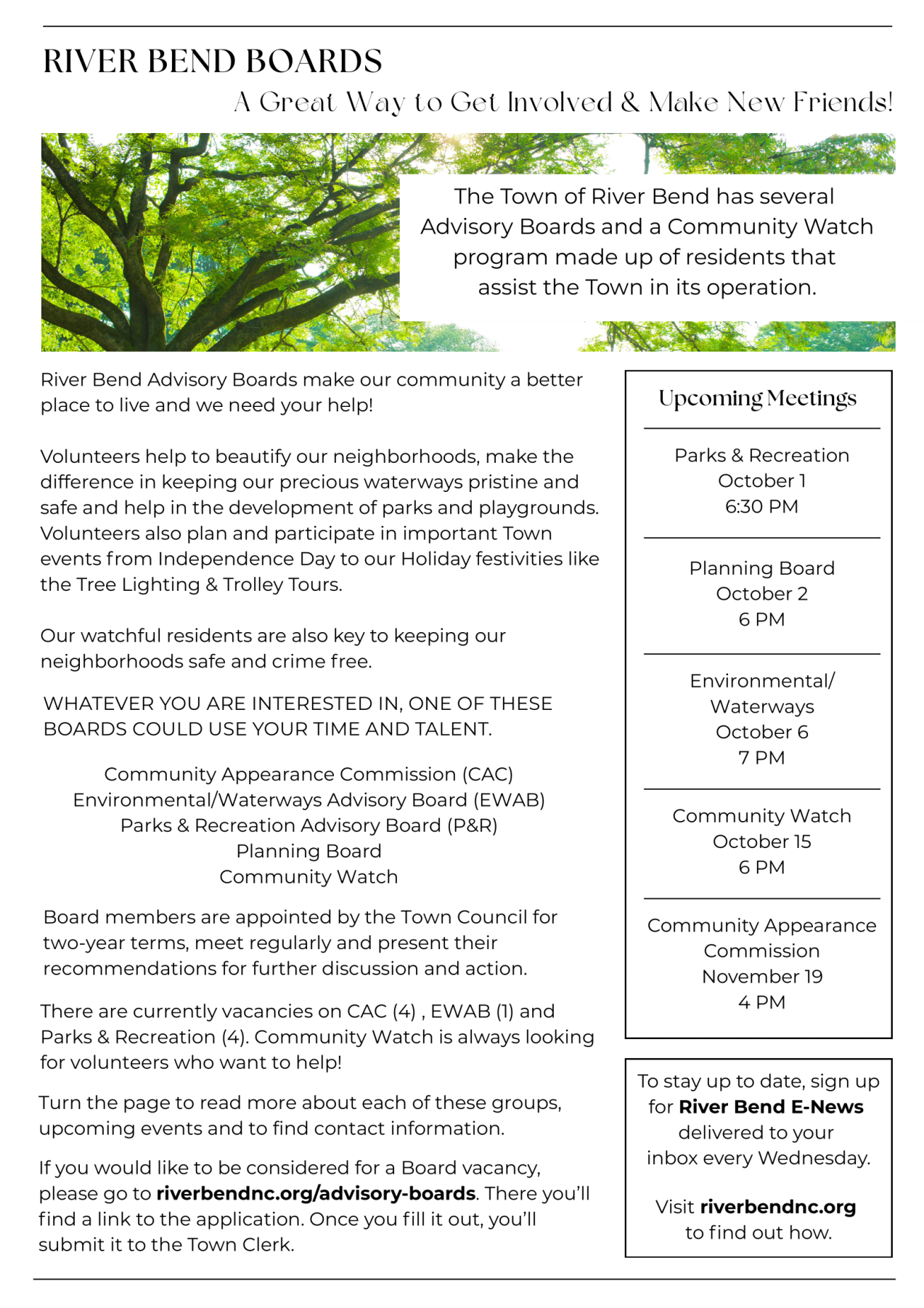 Advisory Board Opportunities Flyer 1